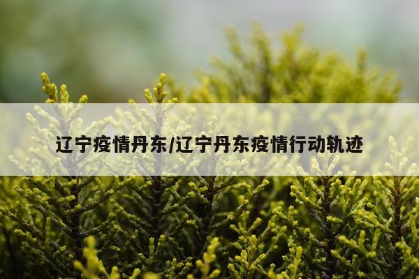 辽宁疫情丹东/辽宁丹东疫情行动轨迹
