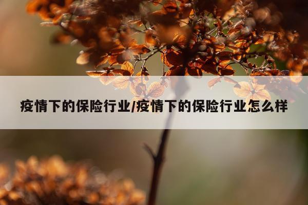 疫情下的保险行业/疫情下的保险行业怎么样
