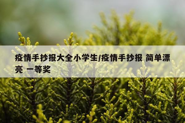 疫情手抄报大全小学生/疫情手抄报 简单漂亮 一等奖
