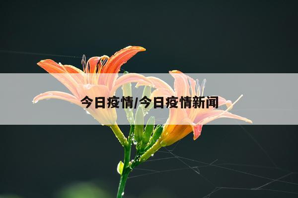 今日疫情/今日疫情新闻