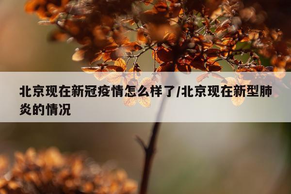 北京现在新冠疫情怎么样了/北京现在新型肺炎的情况