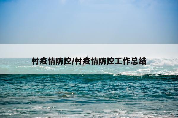 村疫情防控/村疫情防控工作总结