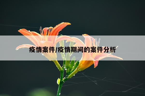 疫情案件/疫情期间的案件分析