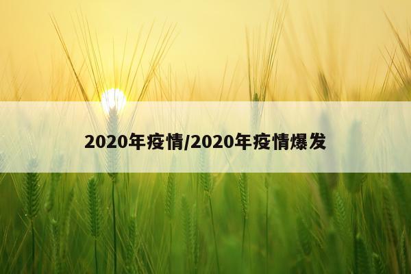 2020年疫情/2020年疫情爆发