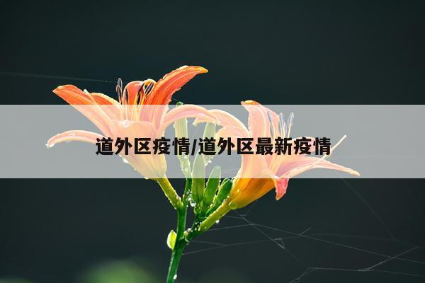 道外区疫情/道外区最新疫情