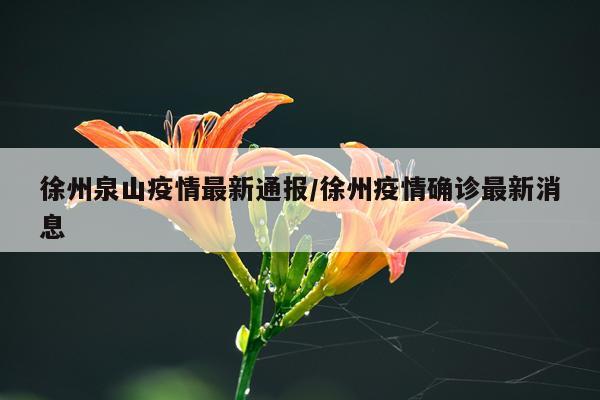 徐州泉山疫情最新通报/徐州疫情确诊最新消息