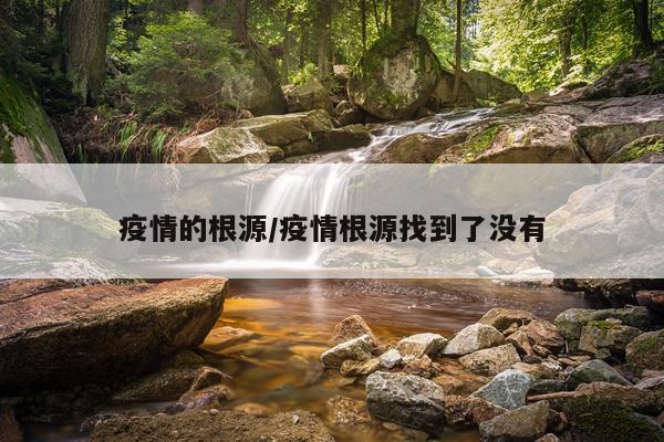 疫情的根源/疫情根源找到了没有