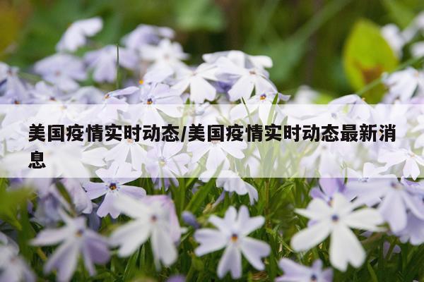 美国疫情实时动态/美国疫情实时动态最新消息