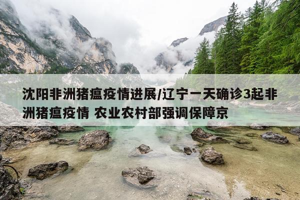 沈阳非洲猪瘟疫情进展/辽宁一天确诊3起非洲猪瘟疫情 农业农村部强调保障京