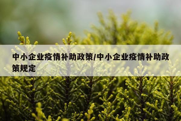 中小企业疫情补助政策/中小企业疫情补助政策规定