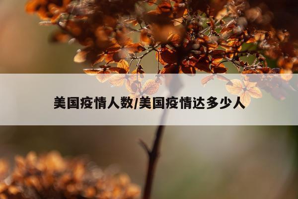 美国疫情人数/美国疫情达多少人