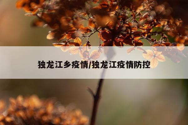 独龙江乡疫情/独龙江疫情防控