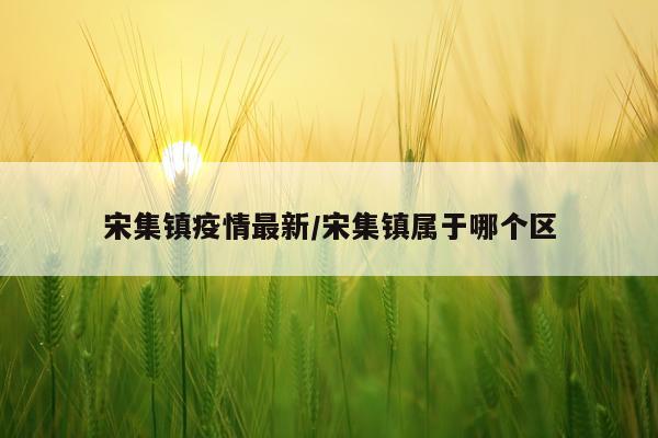 宋集镇疫情最新/宋集镇属于哪个区