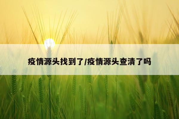 疫情源头找到了/疫情源头查清了吗
