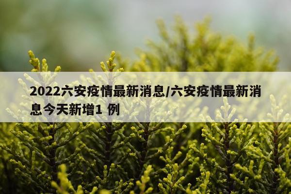 2022六安疫情最新消息/六安疫情最新消息今天新增1 例