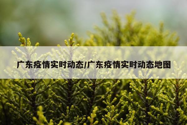 广东疫情实时动态/广东疫情实时动态地图