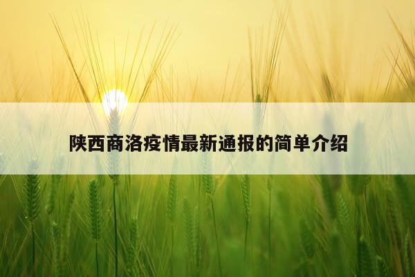 陕西商洛疫情最新通报的简单介绍