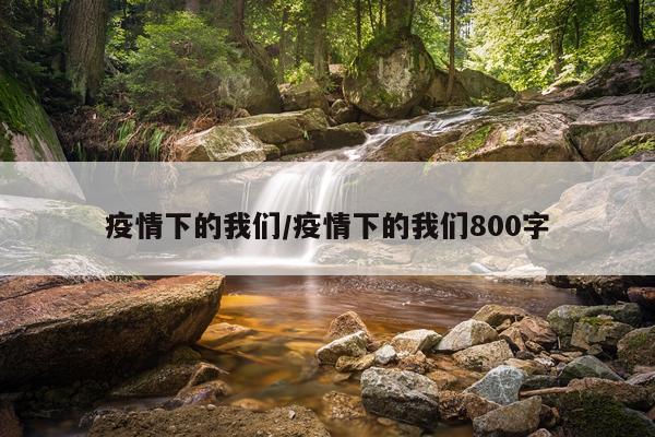 疫情下的我们/疫情下的我们800字