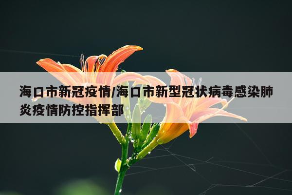 海口市新冠疫情/海口市新型冠状病毒感染肺炎疫情防控指挥部