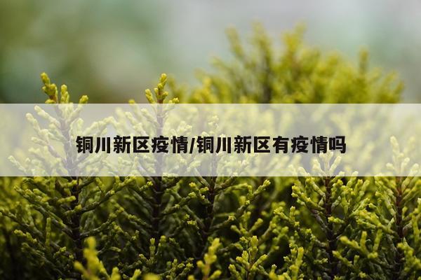 铜川新区疫情/铜川新区有疫情吗