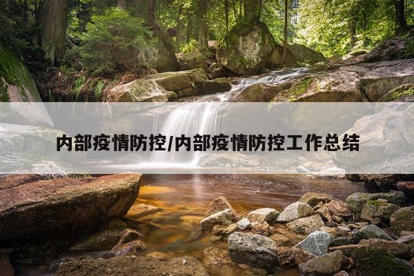 内部疫情防控/内部疫情防控工作总结