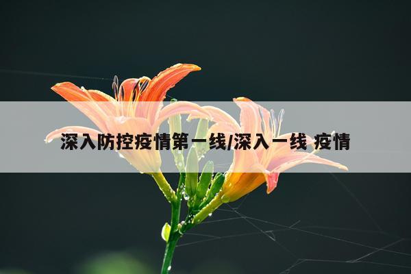 深入防控疫情第一线/深入一线 疫情