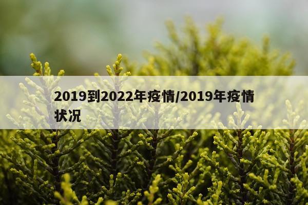 2019到2022年疫情/2019年疫情状况