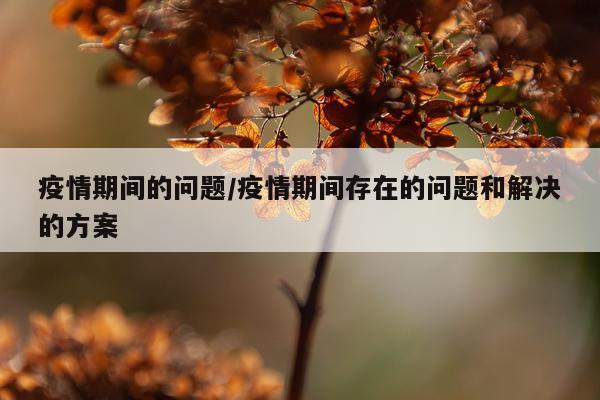 疫情期间的问题/疫情期间存在的问题和解决的方案