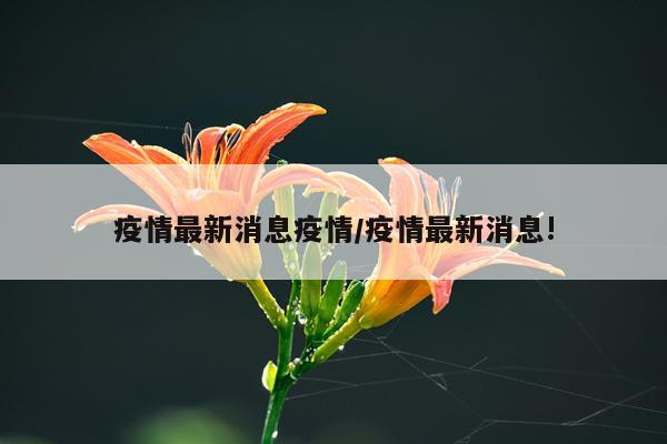 疫情最新消息疫情/疫情最新消息!