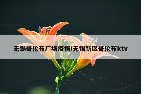 无锡哥伦布广场疫情/无锡新区哥伦布ktv