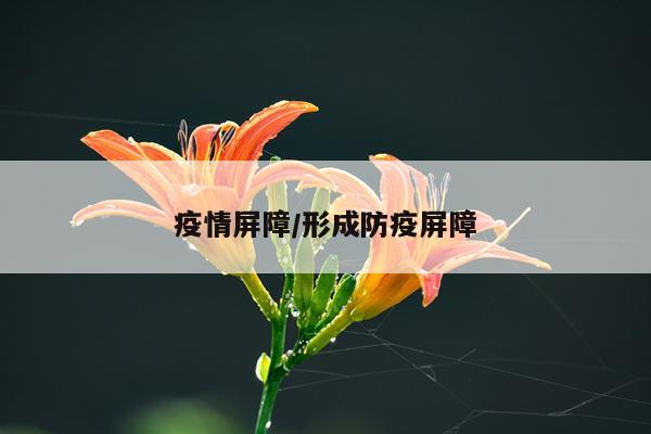 疫情屏障/形成防疫屏障