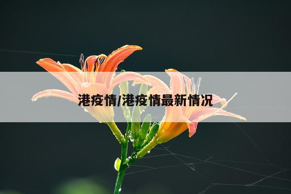 港疫情/港疫情最新情况