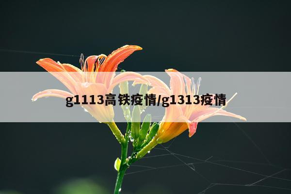 g1113高铁疫情/g1313疫情
