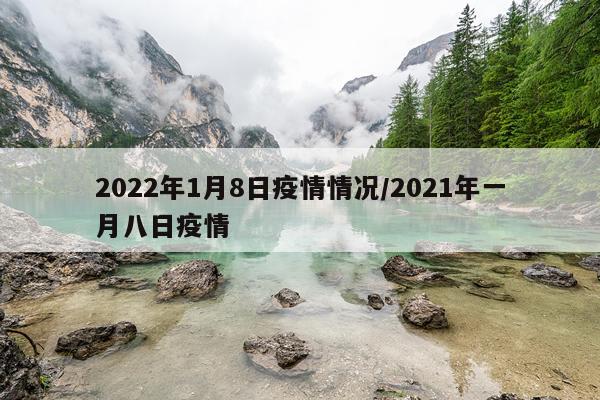 2022年1月8日疫情情况/2021年一月八日疫情