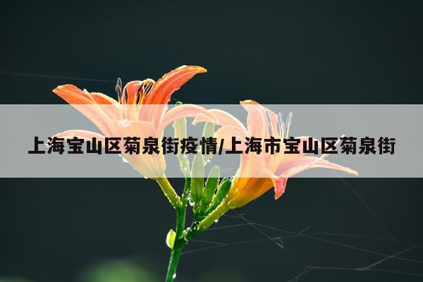 上海宝山区菊泉街疫情/上海市宝山区菊泉街