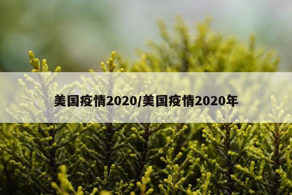 美国疫情2020/美国疫情2020年