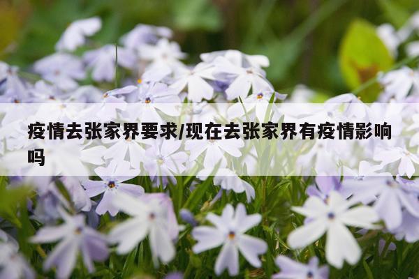 疫情去张家界要求/现在去张家界有疫情影响吗