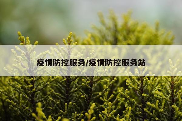 疫情防控服务/疫情防控服务站