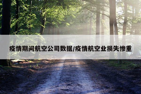 疫情期间航空公司数据/疫情航空业损失惨重