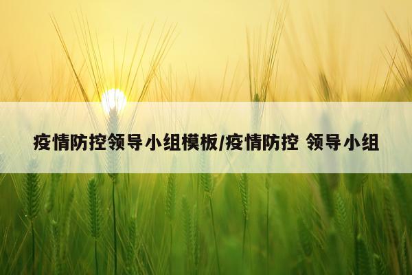 疫情防控领导小组模板/疫情防控 领导小组