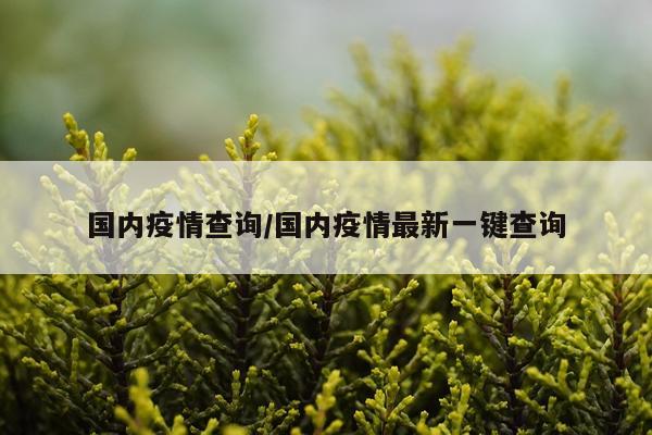 国内疫情查询/国内疫情最新一键查询