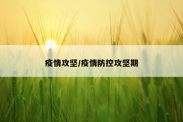疫情攻坚/疫情防控攻坚期