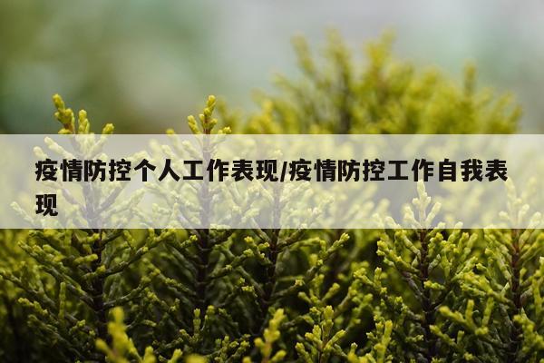 疫情防控个人工作表现/疫情防控工作自我表现
