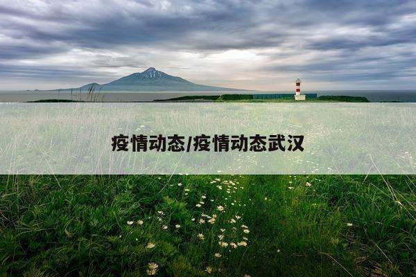 疫情动态/疫情动态武汉