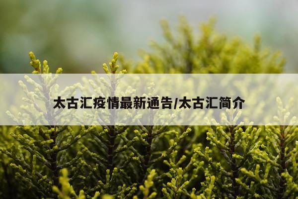太古汇疫情最新通告/太古汇简介