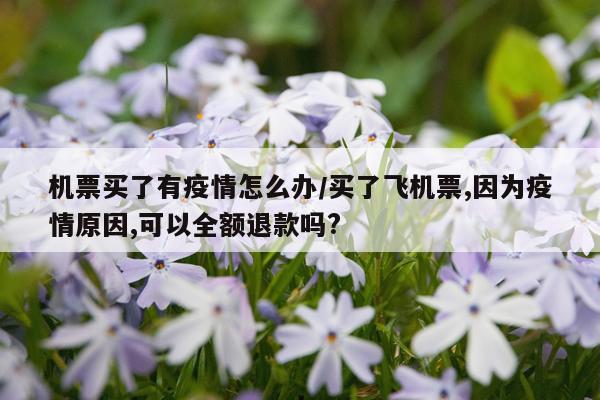 机票买了有疫情怎么办/买了飞机票,因为疫情原因,可以全额退款吗?