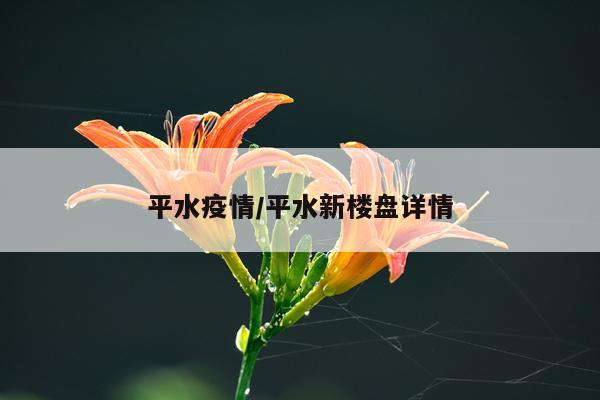 平水疫情/平水新楼盘详情