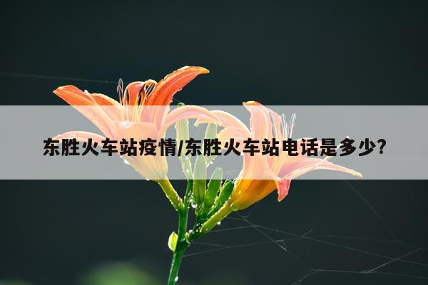 东胜火车站疫情/东胜火车站电话是多少?
