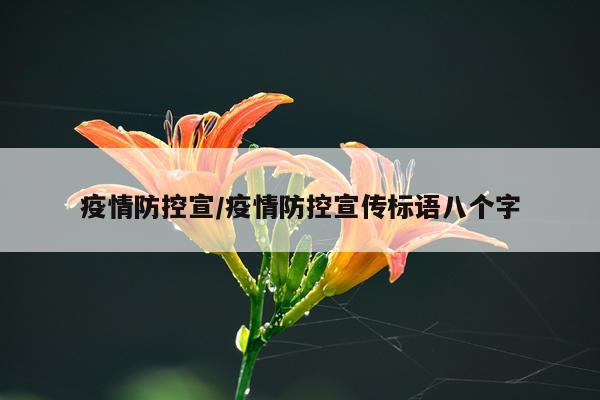疫情防控宣/疫情防控宣传标语八个字