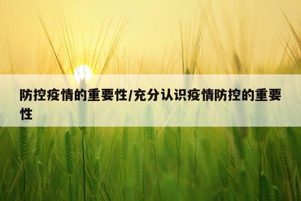 防控疫情的重要性/充分认识疫情防控的重要性